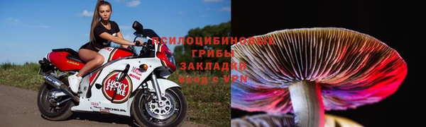 метадон Алексин