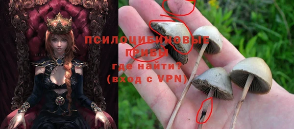 дживик Алексеевка
